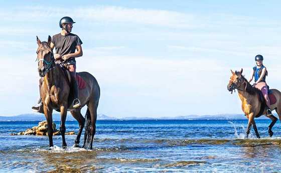  Ridning - Zadar, Kroatia aktiviteter 