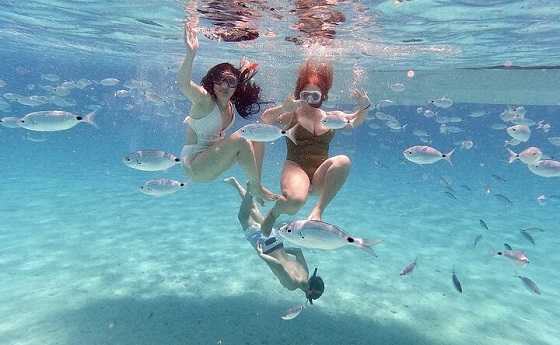  Snorkling og dykking i Zadar, Kroatia aktiviteter 